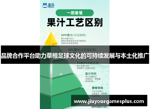 品牌合作平台助力草根足球文化的可持续发展与本土化推广